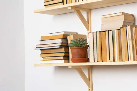 Light wooden bookshelves with hardback overturned books in white interior, indoor flowers on the shelves, home library, biophilic design and plantsの写真素材