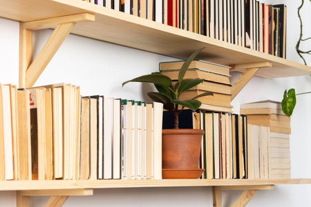Light wooden bookshelves with hardback overturned books in white interior, indoor flowers on the shelves, home library, biophilic design and plantsの写真素材