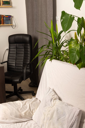 Green house plants behind the sofa, part of the interior, healthy space for rest and work, chair for work at home, biophilic designの写真素材
