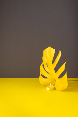 Yellow candle in a glass candlestick, candle flame imitates Monstera leaf, trendy colors of the year, yellow gray backgroundの写真素材