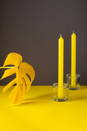 Yellow leaf of a home flower Monstera close-up illuminated and candles in candlesticks on a trendy gray-yellow background, trendy colors of the yearの写真素材