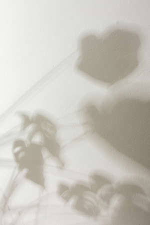Shadow on the white wall from the houseplant Monsteraの写真素材