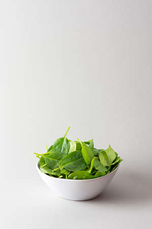 Healthy vegetable greens in a bowl on a gray background, green spinach leaves close upの写真素材