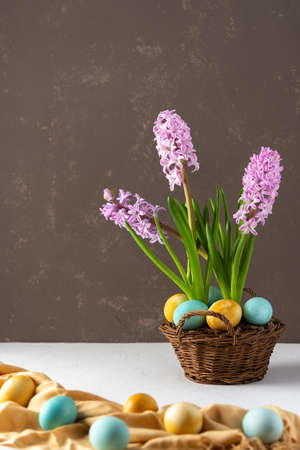 Beautiful pink hyacinths in a wicker basket and blue and yellow painted easter eggs on a gray background, happy easter holidayの写真素材