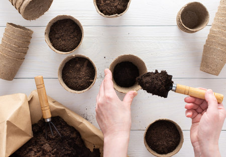 Eco friendly pots for seedlings and a bag with ground on a white wooden background, female hands...