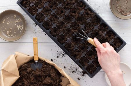 Special plastic mold for seedlings and a bag with ground on a white wooden background, female hands...