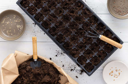 Special plastic mold for seedlings on a white woodenの写真素材