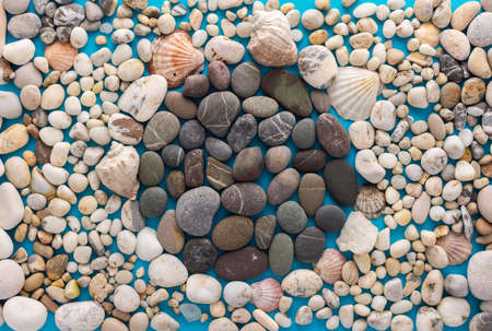 Sea light pebbles and shells on a blue background, in the middle of a circle of gray pebbles, vacation on the sea or oceanの写真素材