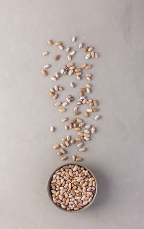 Legumes in bowl and scattered in the background, Pinto beans in a plate on a gray background, top view, copy spaceの写真素材