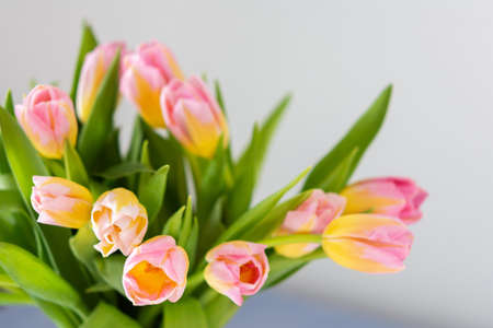 Beautiful spring bouquet of pink tulips close up, flowers in a home interiorの写真素材