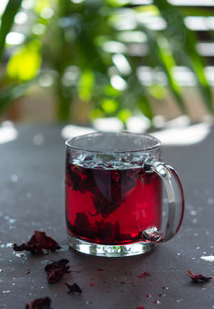 Hot hibiscus tea in a glass mug on the background of a window with green plantsの写真素材