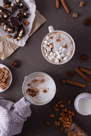 Winter cocoa drink with milk foam and marshmallow in a mug and an aluminum scoop, cinnamon and almonds, cane sugar and star anise, dark chocolate with nuts, top viewの写真素材