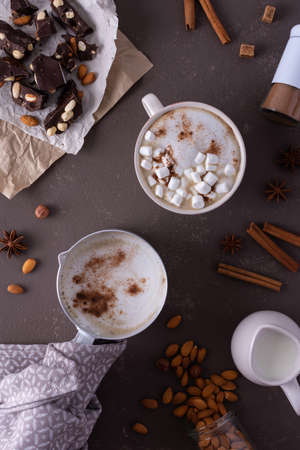 Winter cocoa drink with milk foam and marshmallow in a mug and an aluminum scoop, cinnamon and almonds, cane sugar and star anise, dark chocolate with nuts, top viewの写真素材