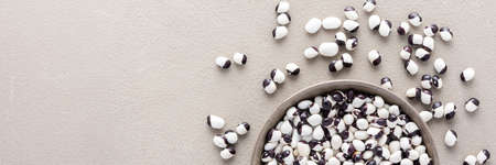 Legumes in bowl and scattered in the background, white and purple beans in a plate banner, top view, copy spaceの写真素材