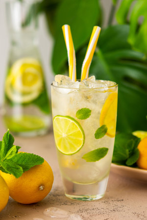 Cold refreshing lemonade in a glass with a straw, a glass with sliced lemon and lime wedges, mint leaves and cold water with ice, Monstera flower in the backgroundの写真素材