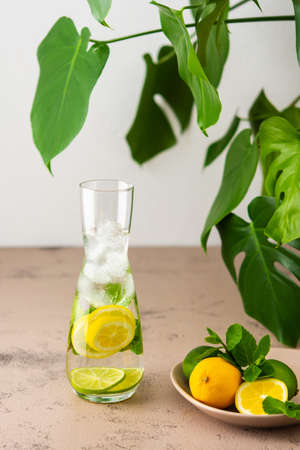 Cold refreshing lemonade in a jug, a jug with cut lemon and lime wedges, mint and cold water with ice, Monstera flower in the backgroundの写真素材
