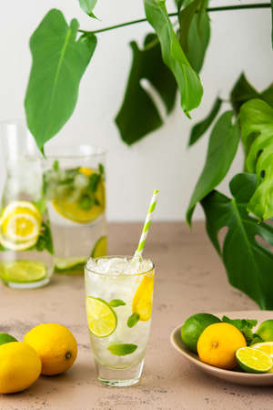 Cold refreshing lemonade in a glass with a straw, a glass with sliced lemon and lime wedges, mint leaves and cold water with ice, Monstera flower in the backgroundの写真素材