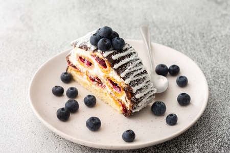 A whole piece of cake poured with chocolate and sprinkled with coconut flakes with blueberries close-up in a plateの写真素材