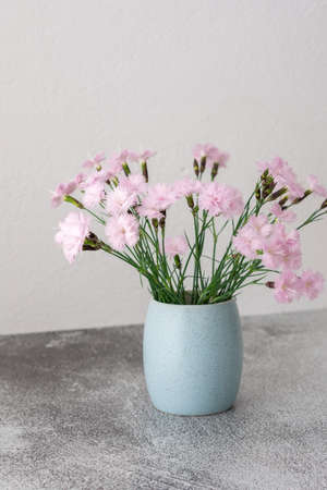 Small pink carnations in a mug on a white wall background, part of a home interiorの写真素材