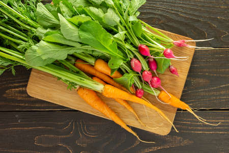 Freshly picked young radishes and carrots with green tops on a board on a white wooden background, organic products from the vegetable gardenの写真素材