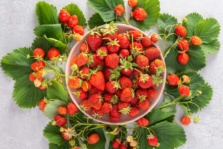 Freshly picked ripe red sweet strawberries with green leaves in a plate on a gray background, organic food from the vegetable garden, top viewの写真素材