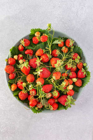 Freshly picked ripe red sweet strawberries with green leaves in a plate on a gray background, organic food from the vegetable garden, top view, copy spaceの写真素材