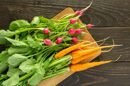 Freshly picked young radishes and carrots with green tops on a board on a white wooden background, organic products from the vegetable gardenの写真素材