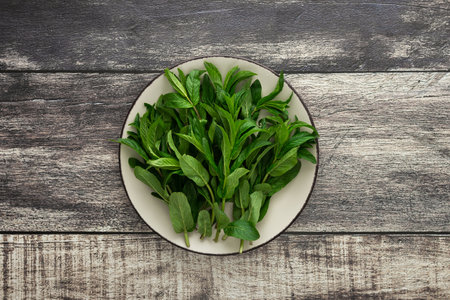 Fresh green sprigs of mint on a plate close-up on a wooden background, top view, copy spaceの写真素材