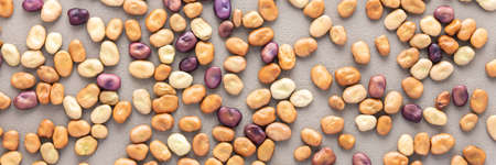 Legumes are scattered in the background, natural banner of brown and purple beans, top viewの写真素材
