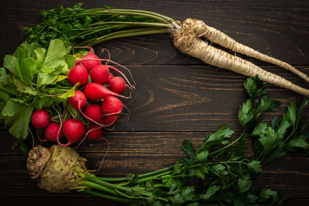Root vegetables with green leaves on a wooden background, radish with parsley root and celera, farm vegetablesの写真素材