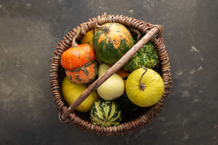 Decorative and edible pumpkins in a wicker basket on a green background, top view, autumn background, copy spaceの写真素材