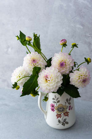 Beautiful autumn bouquet of spherical dahlias in a vase on a table against a background of a gray wallの写真素材