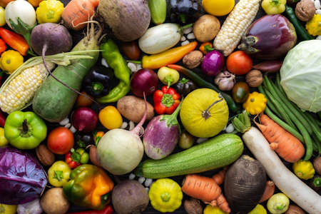 Background with fresh autumn vegetables, organic healthy farm products, top viewの写真素材