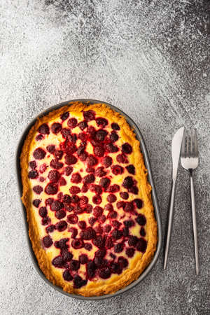 Raspberry pie with curd filling in an oval shape, top viewの写真素材