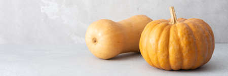 Brown pumpkins whole isolated close up on gray background, autumn harvest, fall bannerの写真素材