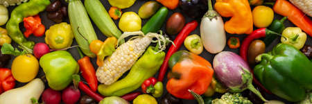 Background with fresh autumn vegetables, organic healthy farm products banner, top viewの写真素材