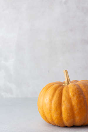 Brown pumpkin whole isolated close up on gray background, autumn harvest, fall backgroundの写真素材