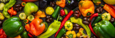 Different types of bitter and sweet peppers and decorative and edible pumpkins, autumn vegetable banner, organic healthy farm productsの写真素材