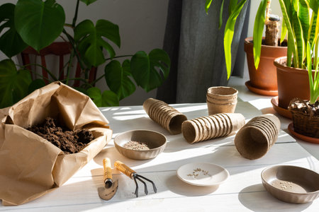 Eco friendly pots for planting seeds, paper bag with ground and garden trowel and rakes, tomato and radish seeds , planting seedlings at homeの写真素材