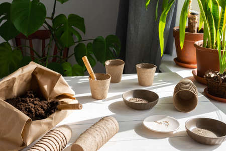 Eco friendly pots for planting seeds, paper bag with ground and garden trowel and rakes, tomato and radish seeds , planting seedlings at homeの写真素材