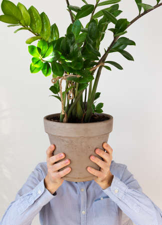 A man holds in front of him an indoor flower Zamioculcas, the plant covers his face, human depersonalization trendの写真素材