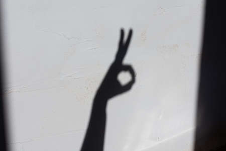 Shadow from female hands on a concrete wall, hands show a rabbitの写真素材