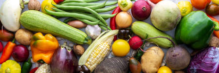Background with fresh autumn vegetables, organic healthy farm products banner, top viewの写真素材