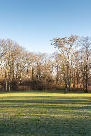 A walk on a warm winter day in the park Volkspark Friedrichshain in Berlinの写真素材