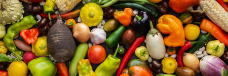 Background with fresh autumn vegetables, organic healthy farm products banner, top viewの写真素材