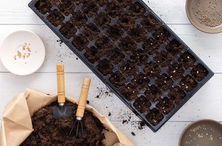 Special plastic mold for seedlings on a white wooden background, small bag with ground and garden trowel with rake, planting seeds in potsの写真素材