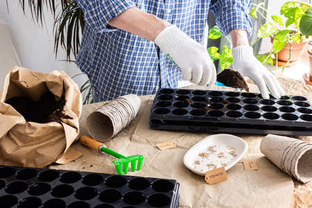 The process of planting tomato seeds in plastic forms and peat eco friendly forms, a bag of earth and trowel and rakes, preparation for sowing work in the garden, a man is planting seedlings at homeの写真素材
