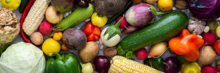 Background with fresh autumn vegetables, organic healthy farm products banner, top viewの写真素材
