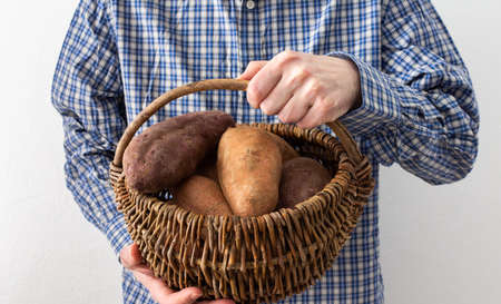 Man holds in front of him a wicker basket with orange and purple sweet potatoesの写真素材