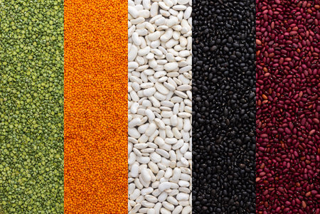 Different types of legumes, lentils and green peas, red, white and black beans, top viewの写真素材
